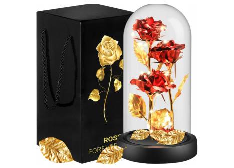 ładowanie obrazka...